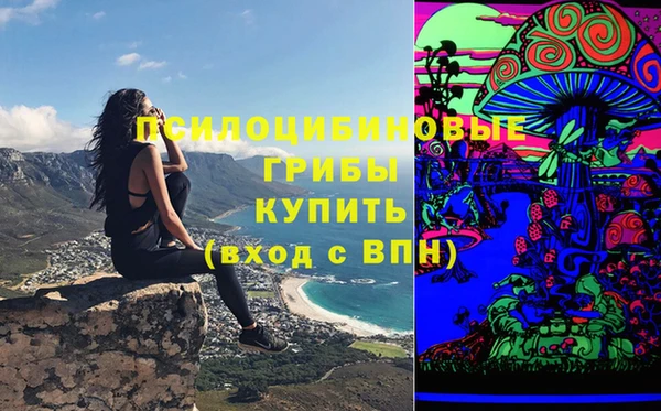 дурь Лиски