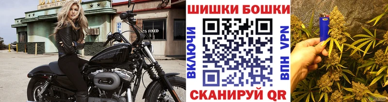 Купить закладки  Николаевск  Бошки Шишки ГИДРОПОН 